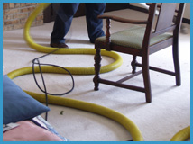 Chicago,IL carpet cleaning